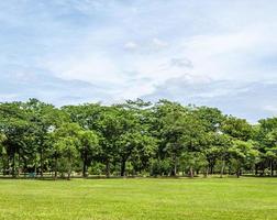 The large lawn in the urban park. photo