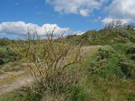 The island of Baltrum in the north sea photo