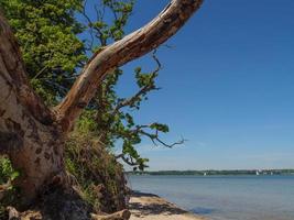 the baltic sea near flensburg in germany photo