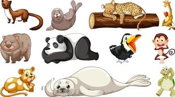 Different wild animals on white background vector