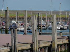 island of Baltrum in the north sea photo