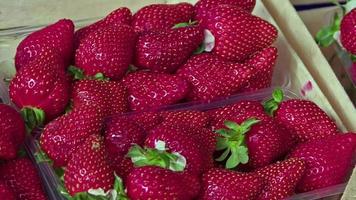 pile de packs de fraises sur le stand du marché video