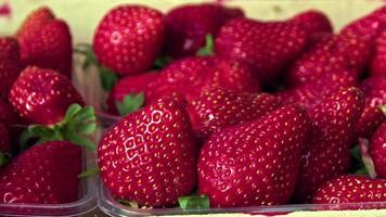 pile de packs de fraises sur le stand du marché video