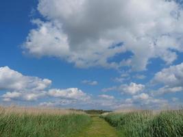 The island of Baltrum in the north sea photo