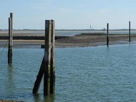 island of Baltrum in the north sea photo