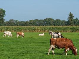 Bredevoort in the Netherlands photo