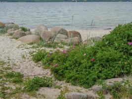 the beach of Sandwig at the baltic sea photo