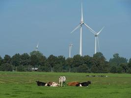 Bredevoort in the Netherlands photo