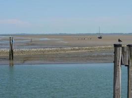 island of Baltrum in the north sea photo