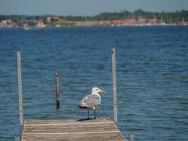 the baltic sea near flensburg in germany photo