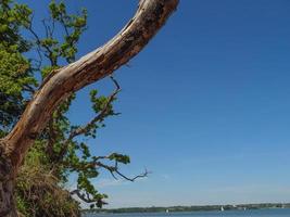 the baltic sea near flensburg in germany photo