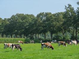 Bredevoort in the Netherlands photo