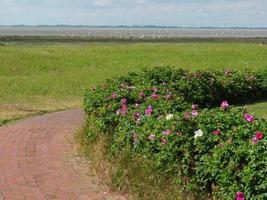 Baltrum island in germany photo