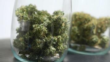 Nahaufnahme von Cannabis-Dred-Knospen, die im transparenten Glasgefäß aushärten, Unkrautkonservierung und -kuration, Unkrautanbau, cbd thc für medizinische Zwecke, Marihuana vermarkten, alternative Medikamente