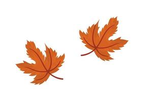 illustration of brown leaves with autumn theme 4 vector