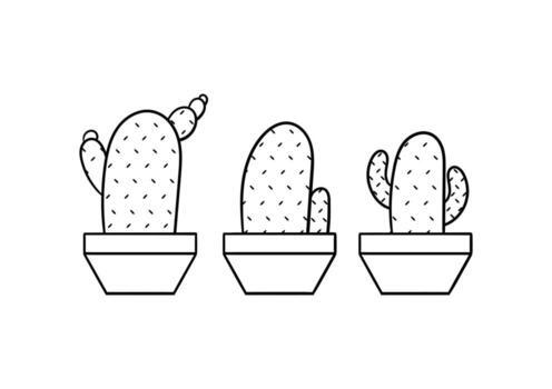 hand drawn cactus illustration with three different cactus shapes vector
