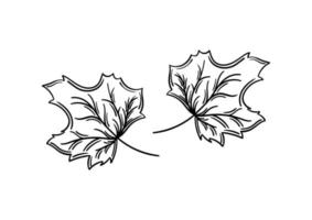 hand drawn leaf with autumn theme 7 vector