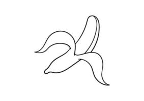 hand drawn illustration of a banana vector