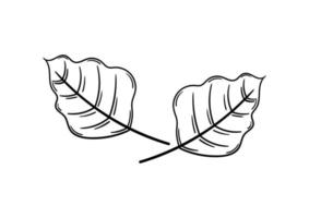 hand drawn leaf with autumn theme 2 vector
