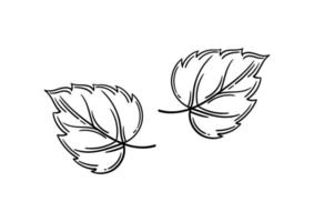 hand drawn leaf with autumn theme 5 vector