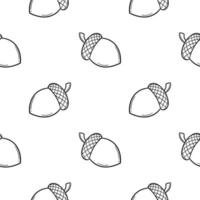 acorn hand drawn seamless pattern vector