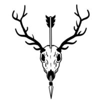 Skull of deer with arrow in head. Hunting trophy with horns. vector