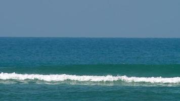 vagues sur la barrière de corail video