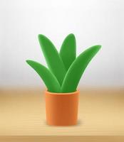 Home plant in the pot on the table. Vector 3d illustration