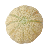 fruit de melon transparent png