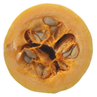 rodajas de calabaza vegetal transparente png