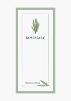 a green rosemary invitation frame card vector