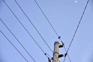 un pájaro estornino en una línea eléctrica foto