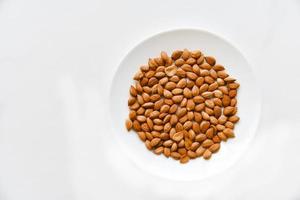 Apricot kernel nuts on a white plate photo