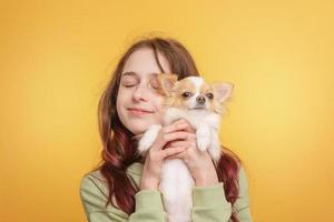 Teen girl with a dog of the Chihuahua breed on a yellow background. Girl and dog. photo