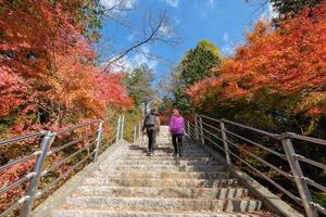 Couple tourists are walking up to the steep footpath with maple vibrant in autumn