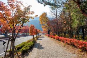 Footpath with colorful maple tree in autumn photo