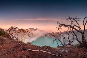 Dried tree on active volcano crater with turquoise lake at dawn photo