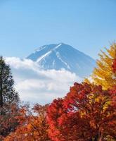 monte fuji sobre colorido árbol de otoño en el jardín foto