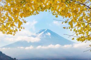 Mount Fuji with yellow leaf ginkgo in morning at Kawaguchiko lake