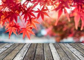 Wooden table top on Maple leaves covered photo