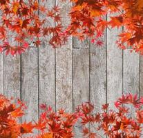 cubierta de arco de hojas de arce rojo sobre fondo de madera