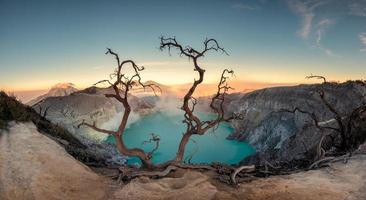 Dried tree on active volcano crater with turquoise lake at dawn photo