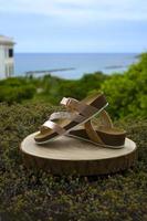 Women's sandals on a log with a panorama to the beach photo