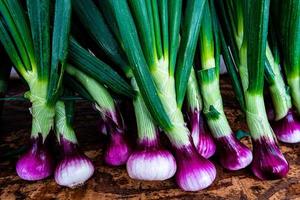 purple sweet spring onions with green tops photo