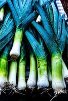 row of whole green leeks photo