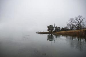 costa arenosa boscosa cerca del océano foto