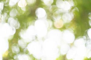 Bokeh background. Element of design, tree leaf bokeh for poster banner summer background photo