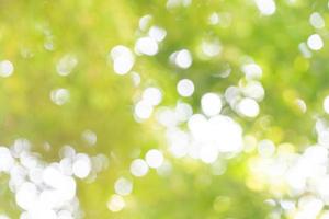 Bokeh background. Element of design, tree leaf bokeh for poster banner summer background photo