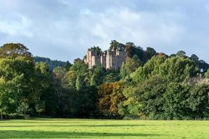 Dunster, Somerset, UK, 2013. View of Dunster Castle photo