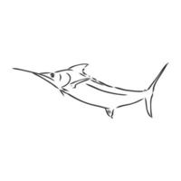 bosquejo del vector de marlin